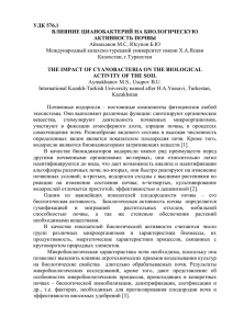 УДК 576.1 ВЛИЯНИЕ ЦИАНОБАКТЕРИЙ НА БИОЛОГИЧЕСКУЮ АКТИВНОСТЬ ПОЧВЫ Аймаханов М.С, Юсупов Б.Ю