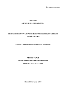 На правах рукописи ТИШКИНА АЛЕКСАНДРА НИКОЛАЕВНА