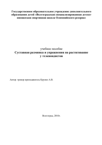 Суставная разминка и упражнения на растягивание у