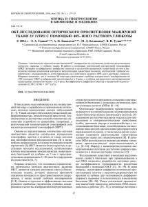 окт-исследование оптического просветления мышечной ткани in