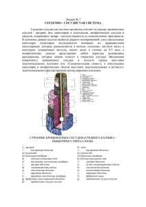 Лекция № 8