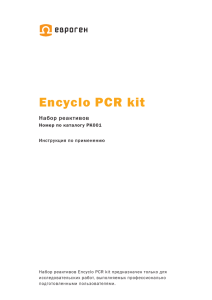 Encyclo PCR kit
