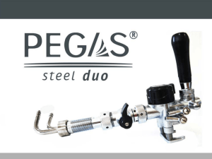 Презентация устройства PEGAS Steel Duo
