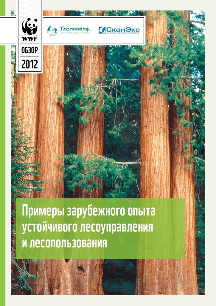 Доклад: Почему лесному сектору России придется заняться проблемой устойчивого лесоводства и лесопользования