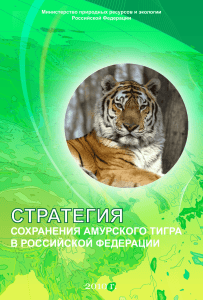 Стратегия сохранения амурского тигра в Российской Федерации