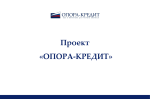 Информационно-аналитический портал «ОПОРА