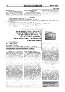 МОДИФИЦИРУЮЩЕЕ ВЛИЯНИЕ ГИББЕРЕЛЛОВОЙ КИСЛОТЫ