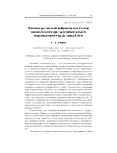 Влияние ротенона на нейрональные клетки спинного мозга при