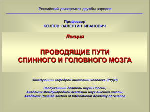 Лекция: Проводящие пути ЦНС - Учебный портал Российского