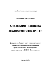 анатомия человека анатомия головы и шеи