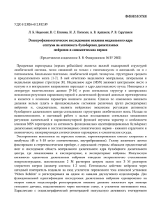 Электрофизиологическое исследование влияния медиального