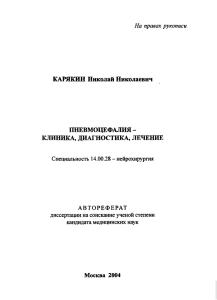 На правах рукописи КАРЯКИН Николай Николаевич