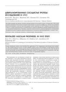 девитализированные сосудистые протезы: исследование in vivo