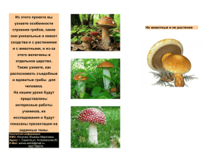 Из этого проекта вы узнаете особенности строения грибов