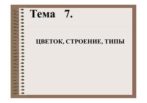 Тема 7. ЦВЕТОК, СТРОЕНИЕ, ТИПЫ