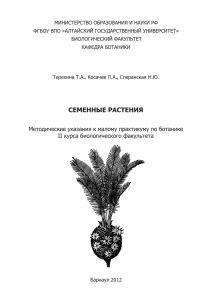 семенные растения - Алтайский государственный университет