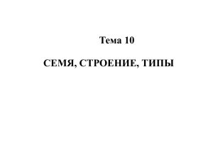 СЕМЯ, СТРОЕНИЕ, ТИПЫ Тема 10