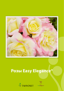 Розы Easy Elegance®
