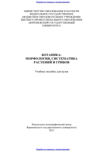 ботаника: морфология, систематика растений и грибов