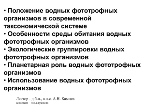 • Положение водных фототрофных организмов в современной