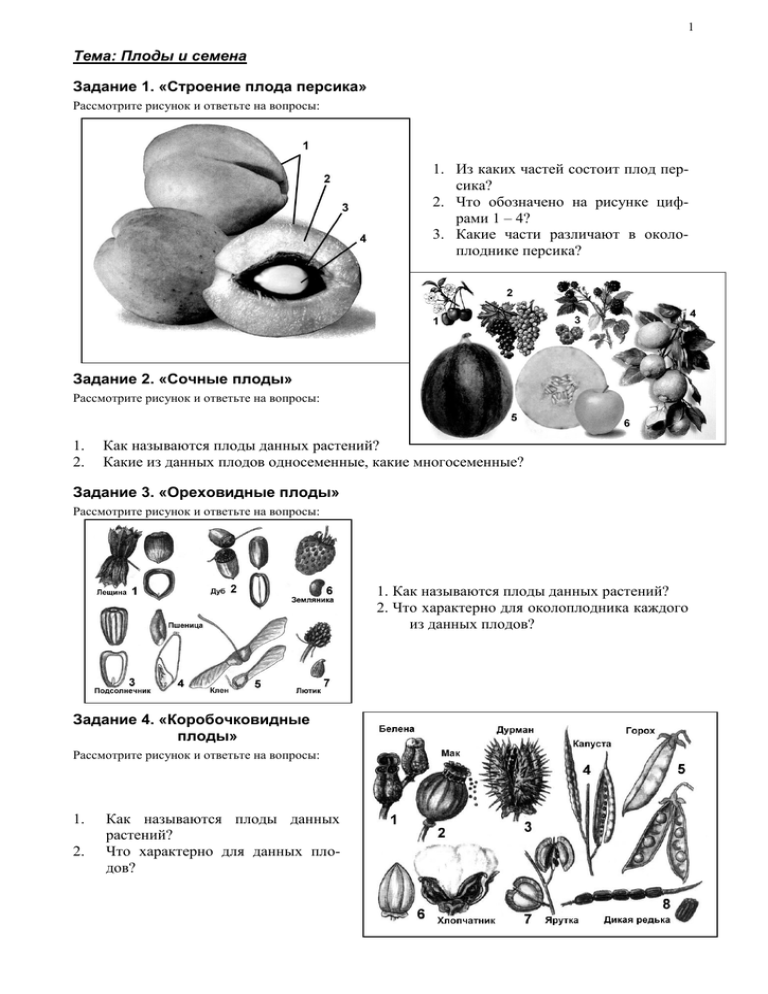 Семена характерны для артур семена