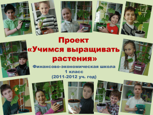 (2011-2012 учебный год). Проект "Учимся выращивать растения"