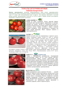 ТОМАТЫ ДЕТЕРМИНАНТНЫЕ Solanum lucopersicum