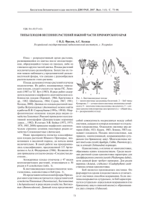 ТИПЫ ПЛОДОВ ВЕСЕННИХ РАСТЕНИЙ ЮЖНОЙ ЧАСТИ