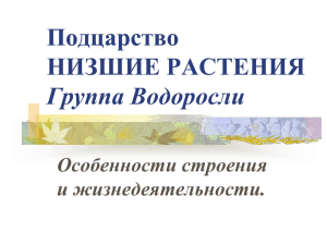 Подцарство НИЗШИЕ РАСТЕНИЯ Группа Водоросли