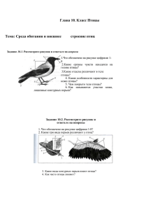 Глава 10. Класс Птицы Тема: Среда обитания и внешнее