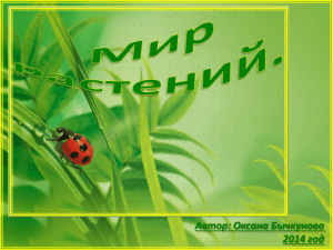 мир растений - Блог Оксаны Бычкуновой