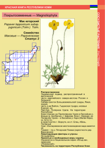 Покрытосеменные — Magnoliophyta Мак югорский Семейство Papaver lapponicum subsp.