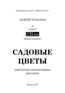 Андрей Туманов. Садовые цветы