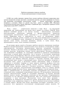 Шуклина Ю., Шилоносова Е.Л., Проблемы загрязнения