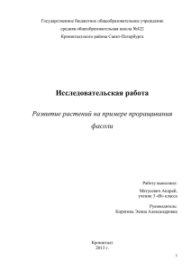 Исследовательская работа по теме_Развитие растений на