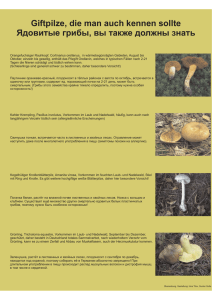 Giftpilze, die man auch kennen sollte Ядовитые грибы, вы также