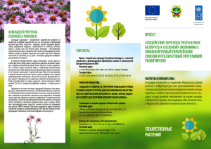 Буклет - «Содействие переходу Республики Беларусь к «зеленой