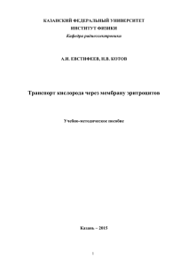 Транспорт кислорода через мембрану эритроцитов