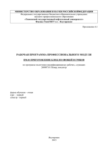 рабочая программа профессионального модуля