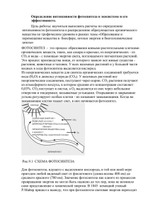 Определение интенсивности фотосинтеза в экосистеме и его