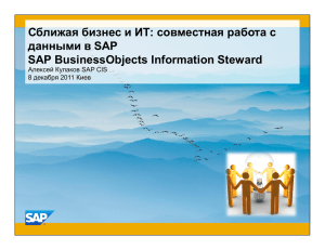 : c SAP SAP BusinessObjects Information Steward SAP CIS