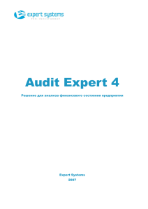 Audit Expert: финансовый анализ деятельности - Audit