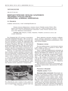 энтомология виброакустические сигналы саранчового trilophidia