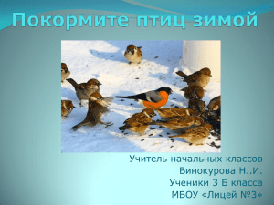 Проект "Помоги птицам зимой" 3 класс