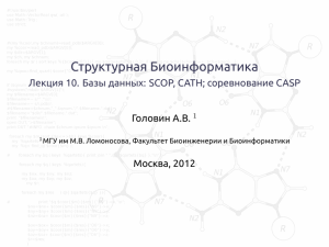 Структурная Биоинформатика - Лекция 10. Базы данных: SCOP