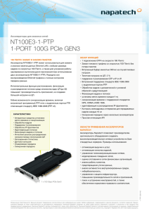 1-PORT 100G PCIe GEN3 NT100E3-1-PTP