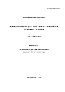 Физиологическая роль немышечных миозинов в подвижности