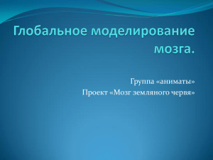 Глобальное моделирование мозга. Мозг анимата