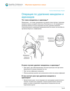 PE041R Tonsil and Adenoid Surgery - Russian
