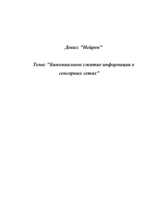 Девиз: "Нейрон" Тема: "Биномиальное сжатие информации в